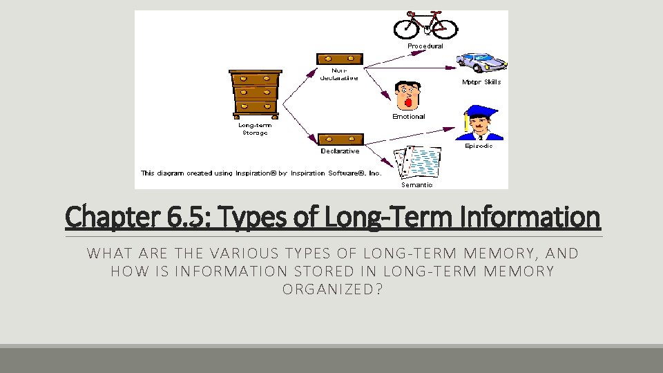 Chapter 6. 5: Types of Long-Term Information WHAT ARE THE VARIOUS TYPES OF LONG-TERM