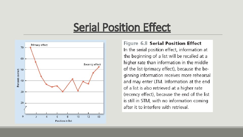 Serial Position Effect 