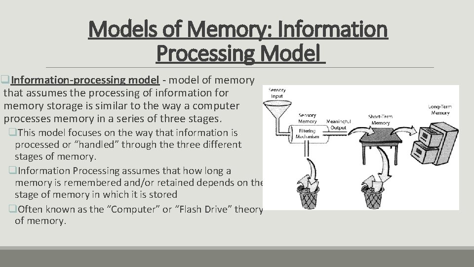 Models of Memory: Information Processing Model q. Information-processing model - model of memory that