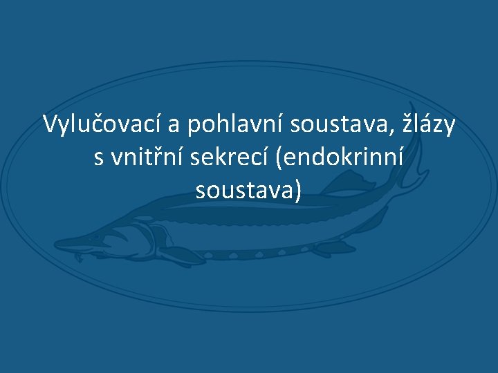 Vylučovací a pohlavní soustava, žlázy s vnitřní sekrecí (endokrinní soustava) 