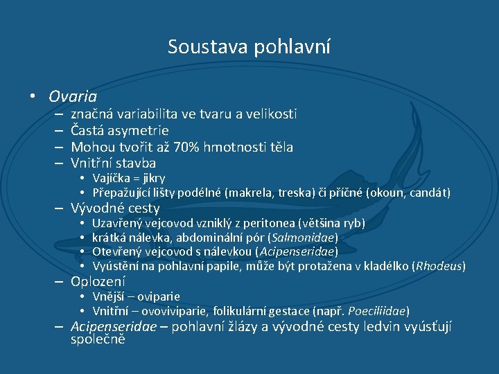 Soustava pohlavní • Ovaria – – značná variabilita ve tvaru a velikosti Častá asymetrie