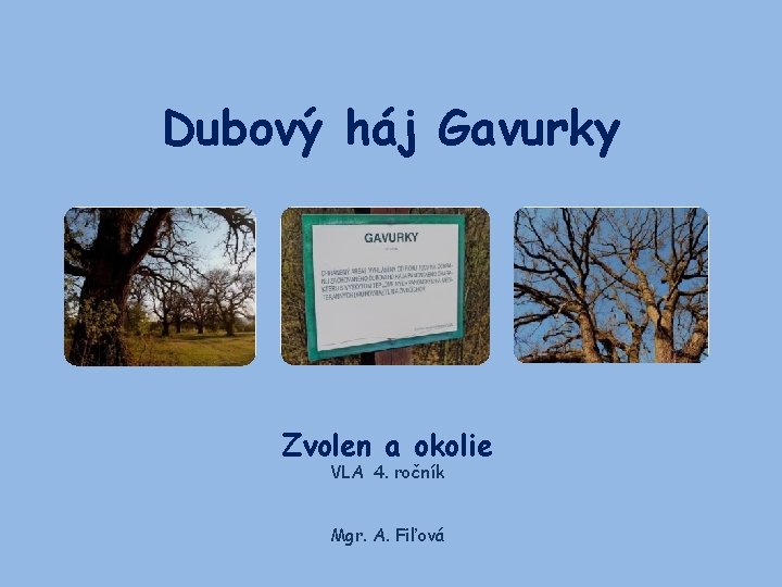 Dubový háj Gavurky Zvolen a okolie VLA 4. ročník Mgr. A. Fiľová 