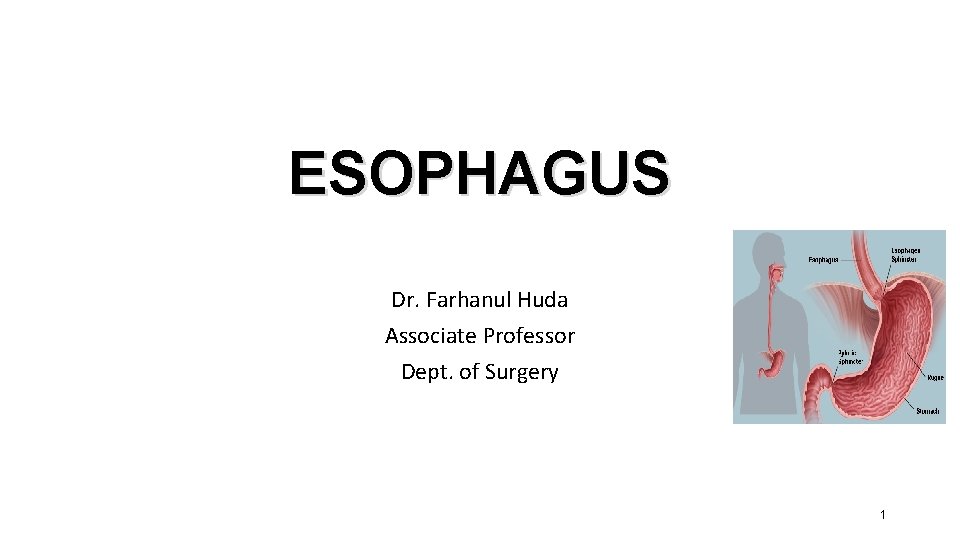 ESOPHAGUS Dr. Farhanul Huda Associate Professor Dept. of Surgery 1 