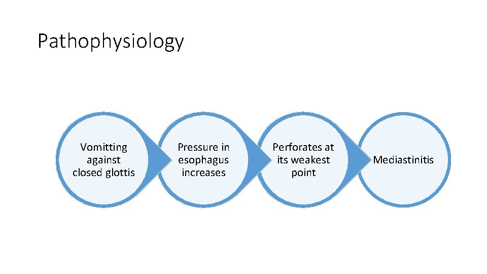 Pathophysiology Vomitting against closed glottis Pressure in esophagus increases Perforates at its weakest point