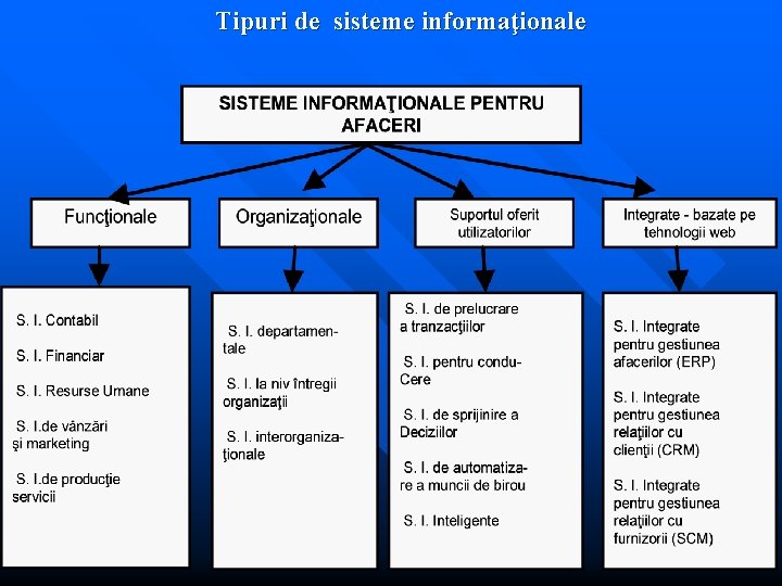 Tipuri de sisteme informaţionale 