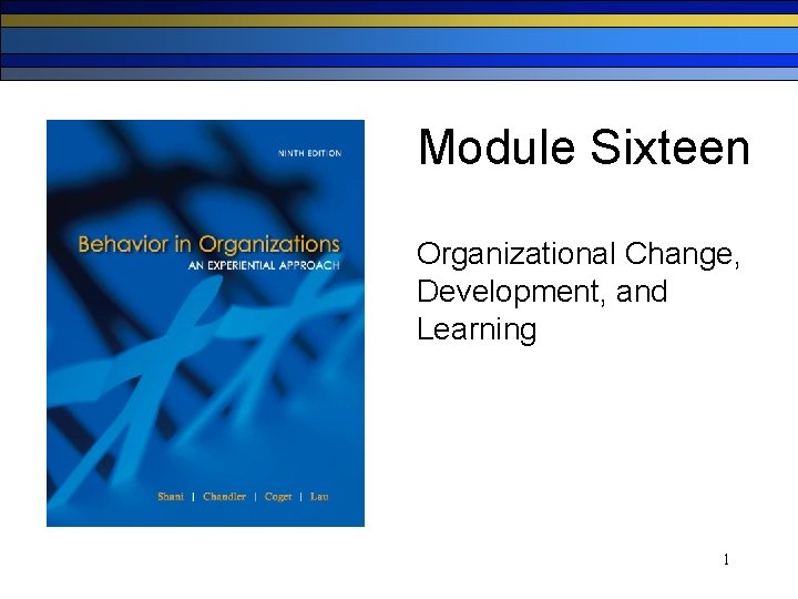 Module Sixteen Organizational Change, Development, and Learning 1 