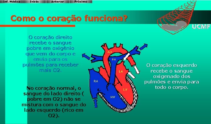 Como o coração funciona? O coração direito recebe o sangue pobre em oxigênio que