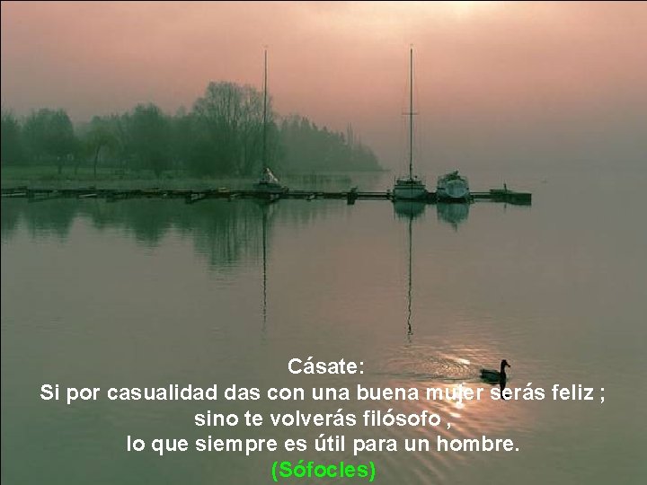  Cásate: Si por casualidad das con una buena mujer serás feliz ; sino