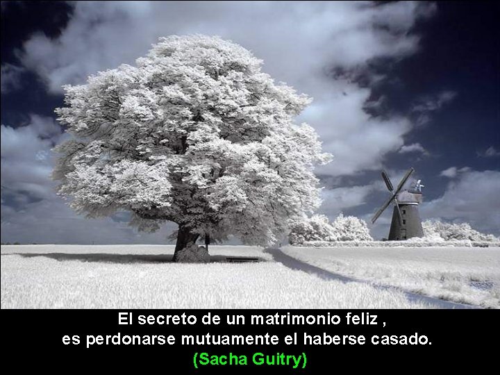  El secreto de un matrimonio feliz , es perdonarse mutuamente el haberse casado.