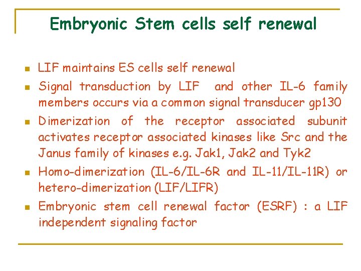 Embryonic Stem cells self renewal n n n LIF maintains ES cells self renewal