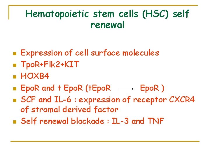 Hematopoietic stem cells (HSC) self renewal n n n Expression of cell surface molecules