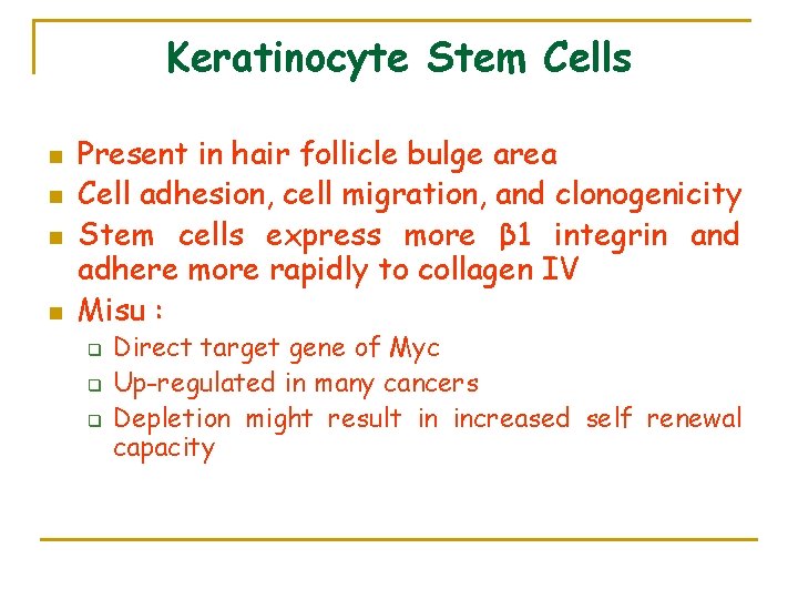 Keratinocyte Stem Cells n n Present in hair follicle bulge area Cell adhesion, cell