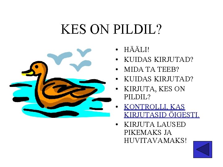 KES ON PILDIL? • • • HÄÄLI! KUIDAS KIRJUTAD? MIDA TA TEEB? KUIDAS KIRJUTAD?