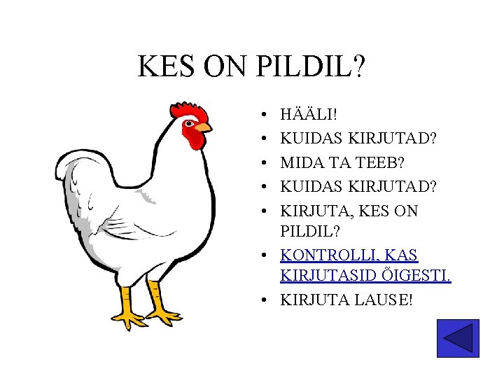 KES ON PILDIL? • • • HÄÄLI! KUIDAS KIRJUTAD? MIDA TA TEEB? KUIDAS KIRJUTAD?