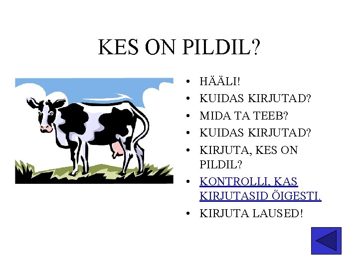 KES ON PILDIL? • • • HÄÄLI! KUIDAS KIRJUTAD? MIDA TA TEEB? KUIDAS KIRJUTAD?