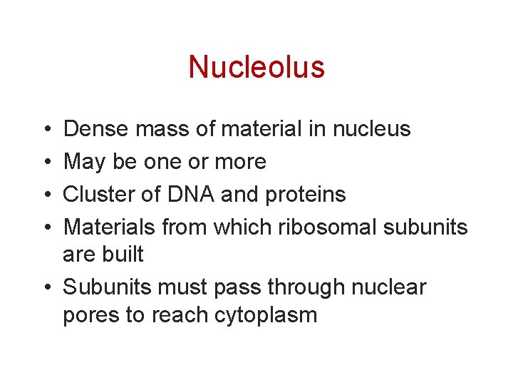 Nucleolus • • Dense mass of material in nucleus May be one or more