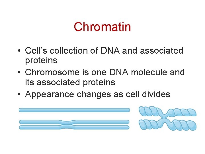 Chromatin • Cell’s collection of DNA and associated proteins • Chromosome is one DNA