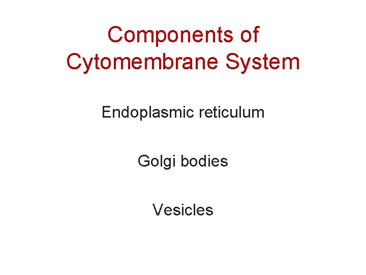 Components of Cytomembrane System Endoplasmic reticulum Golgi bodies Vesicles 23 