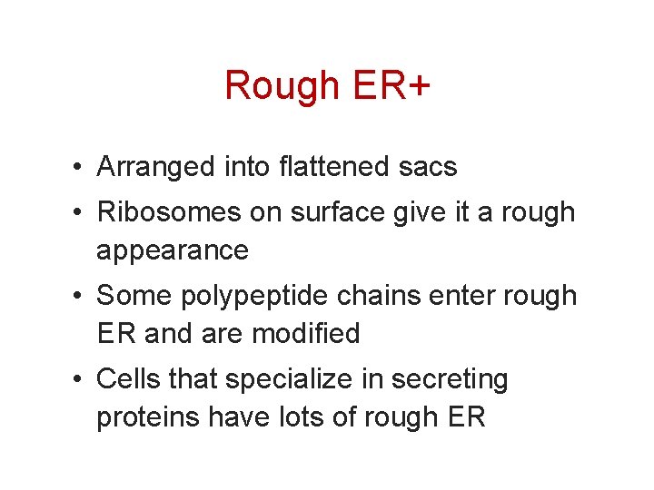 Rough ER+ • Arranged into flattened sacs • Ribosomes on surface give it a