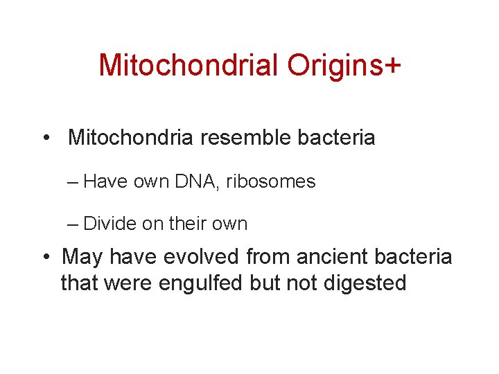Mitochondrial Origins+ • Mitochondria resemble bacteria – Have own DNA, ribosomes – Divide on