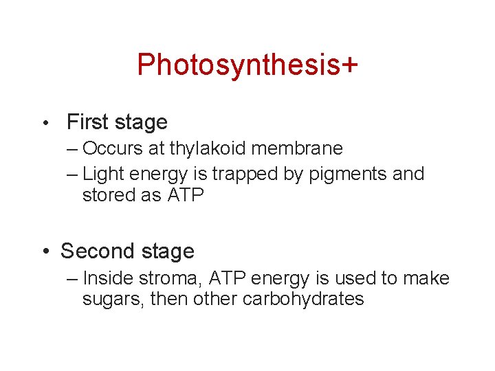 Photosynthesis+ • First stage – Occurs at thylakoid membrane – Light energy is trapped