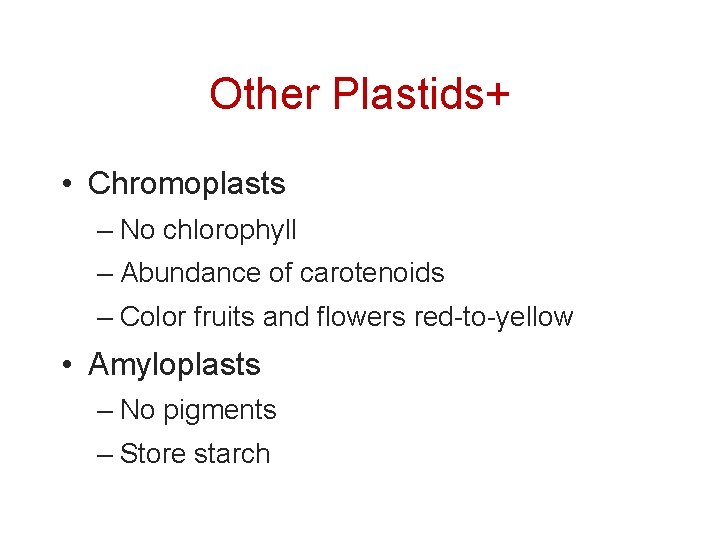 Other Plastids+ • Chromoplasts – No chlorophyll – Abundance of carotenoids – Color fruits