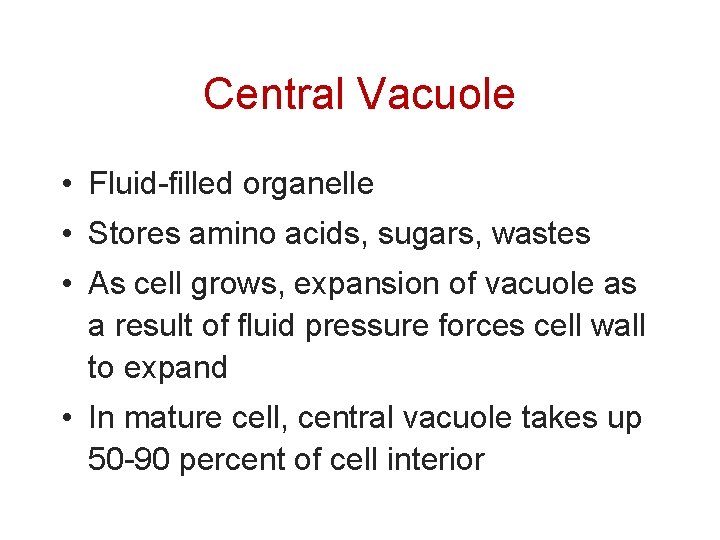Central Vacuole • Fluid-filled organelle • Stores amino acids, sugars, wastes • As cell