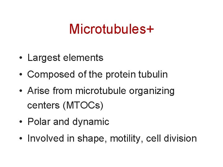 Microtubules+ • Largest elements • Composed of the protein tubulin • Arise from microtubule
