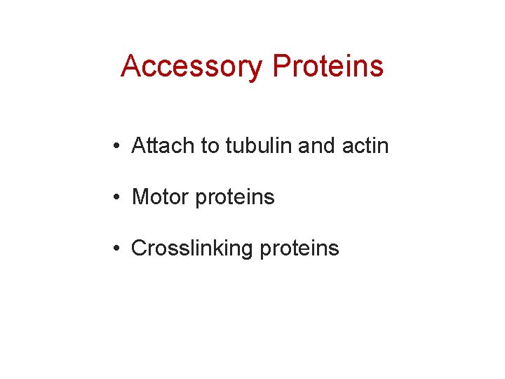 Accessory Proteins • Attach to tubulin and actin • Motor proteins • Crosslinking proteins