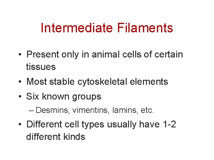Intermediate Filaments • Present only in animal cells of certain tissues • Most stable