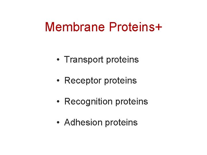 Membrane Proteins+ • Transport proteins • Receptor proteins • Recognition proteins • Adhesion proteins