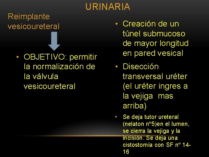 Reimplante vesicoureteral URINARIA • OBJETIVO: permitir la normalización de la válvula vesicoureteral • Creación Reimplante vesicoureteral URINARIA • OBJETIVO: permitir la normalización de la válvula vesicoureteral • Creación