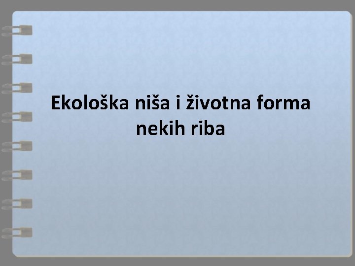 Ekološka niša i životna forma nekih riba 