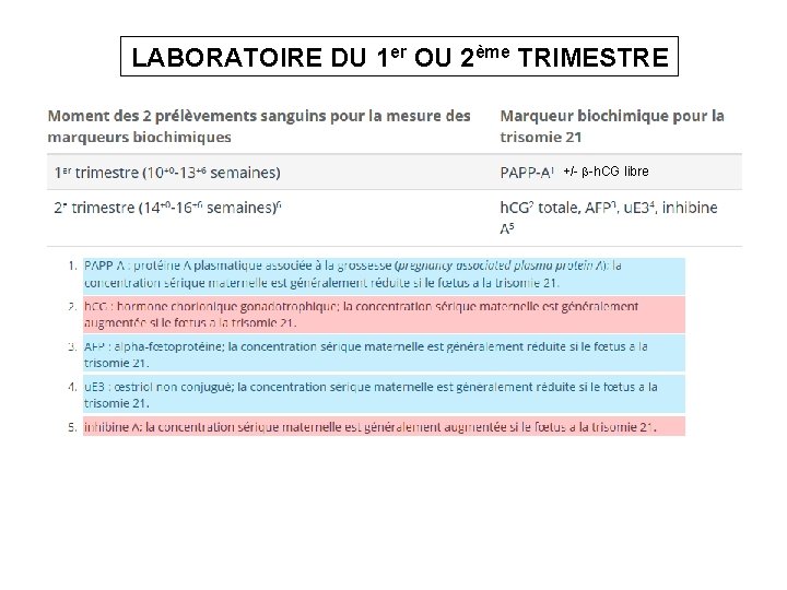 LABORATOIRE DU 1 er OU 2ème TRIMESTRE +/- b-h. CG libre 