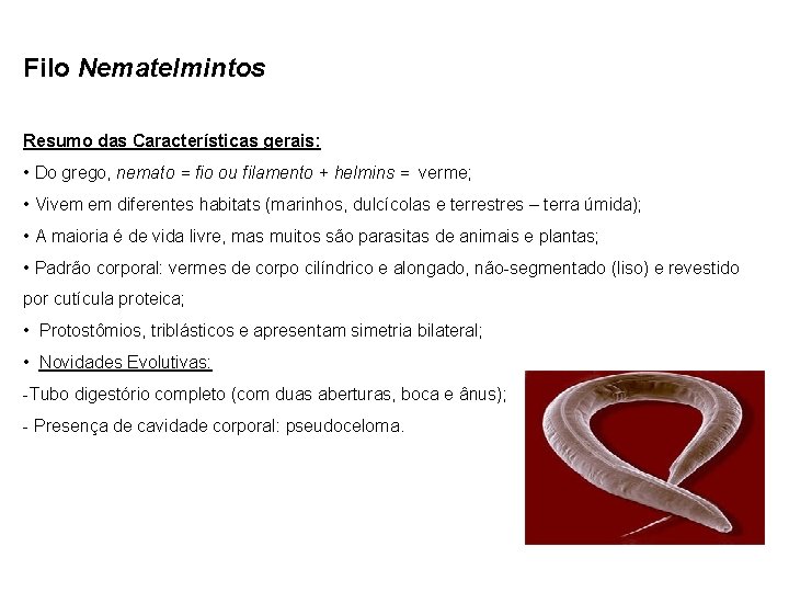Filo Nematelmintos Resumo das Características gerais: • Do grego, nemato = fio ou filamento