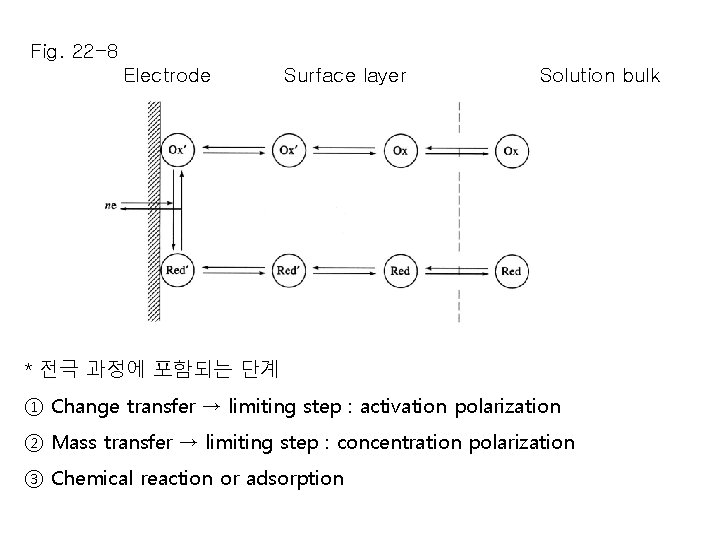 Fig. 22 -8 Electrode Surface layer Solution bulk * 전극 과정에 포함되는 단계 ① Fig. 22 -8 Electrode Surface layer Solution bulk * 전극 과정에 포함되는 단계 ①