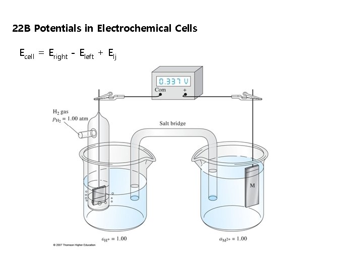 22 B Potentials in Electrochemical Cells Ecell = Eright - Eleft + Elj 22 B Potentials in Electrochemical Cells Ecell = Eright - Eleft + Elj