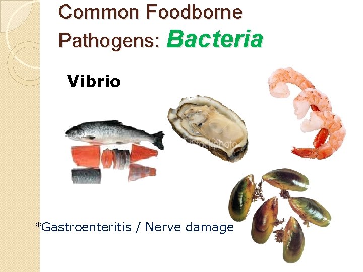 Common Foodborne Pathogens: Bacteria Vibrio *Gastroenteritis / Nerve damage 