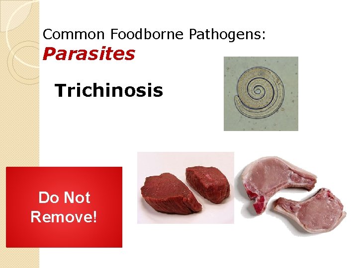 Common Foodborne Pathogens: Parasites Trichinosis Do Not Remove! 