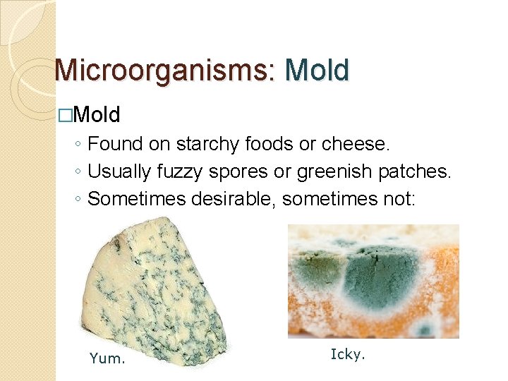 Microorganisms: Mold �Mold ◦ Found on starchy foods or cheese. ◦ Usually fuzzy spores