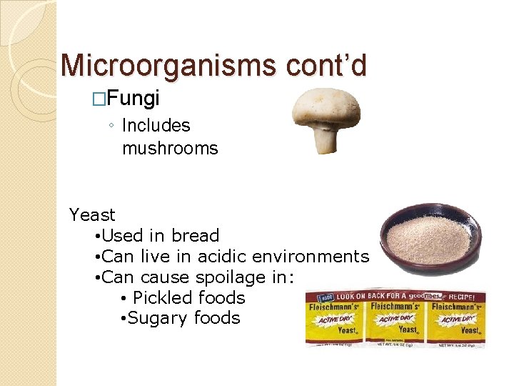 Microorganisms cont’d �Fungi ◦ Includes mushrooms Yeast • Used in bread • Can live