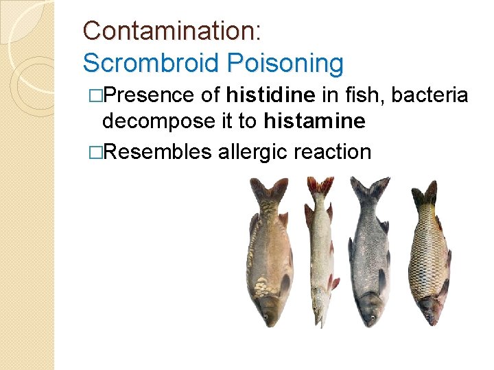 Contamination: Scrombroid Poisoning �Presence of histidine in fish, bacteria decompose it to histamine �Resembles