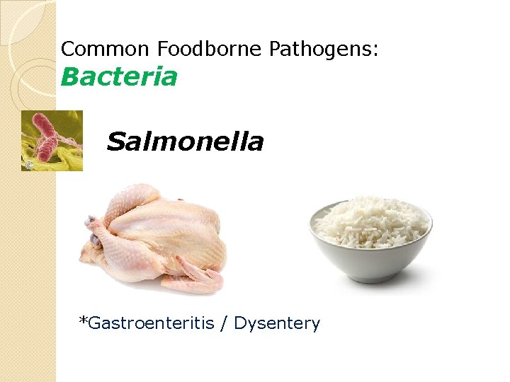 Common Foodborne Pathogens: Bacteria Salmonella *Gastroenteritis / Dysentery 