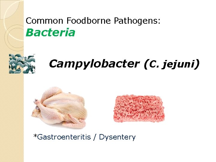 Common Foodborne Pathogens: Bacteria Campylobacter (C. jejuni) *Gastroenteritis / Dysentery 