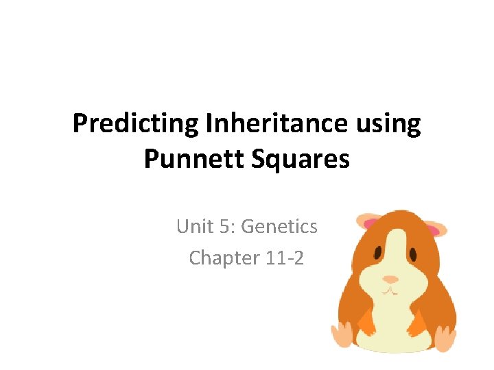 Predicting Inheritance using Punnett Squares Unit 5: Genetics Chapter 11 -2 