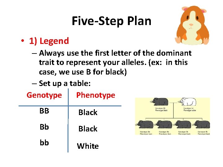 Five-Step Plan • 1) Legend – Always use the first letter of the dominant