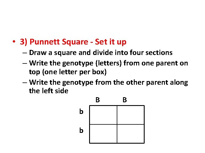  • 3) Punnett Square - Set it up – Draw a square and