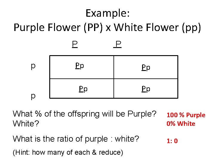 Example: Purple Flower (PP) x White Flower (pp) P p p P Pp Pp