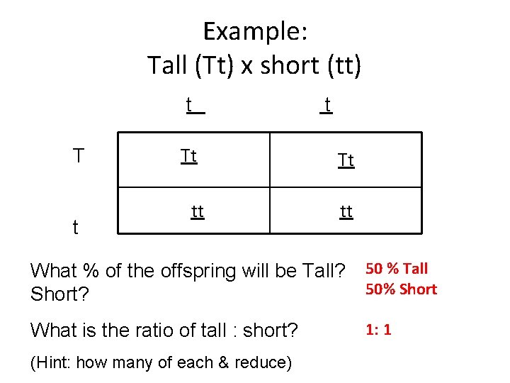 Example: Tall (Tt) x short (tt) t Tt tt What % of the offspring