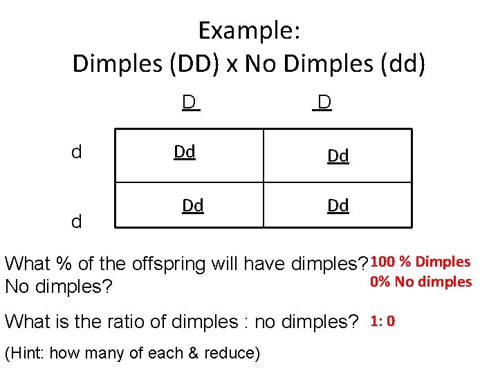 Example: Dimples (DD) x No Dimples (dd) D d d Dd Dd Dd What